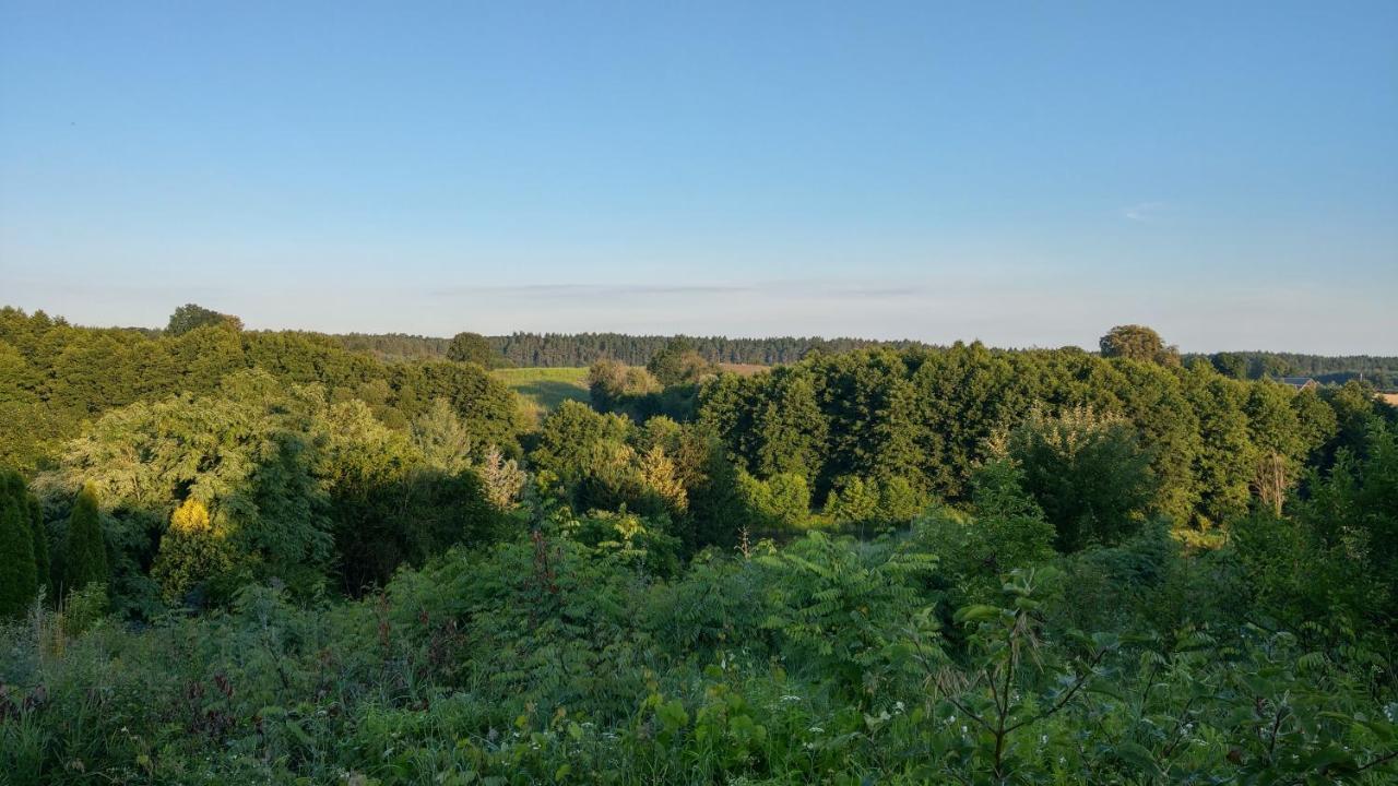Villa Przystanek Bajka W Puszczy Zielonce à Dabrowka Koscielna Extérieur photo